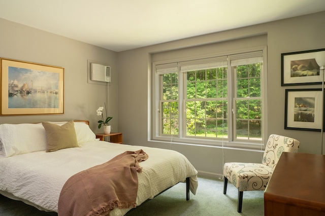 70 Reardon York Est, Canaan, NY 12029 - bedroom with a wall unit AC and carpet