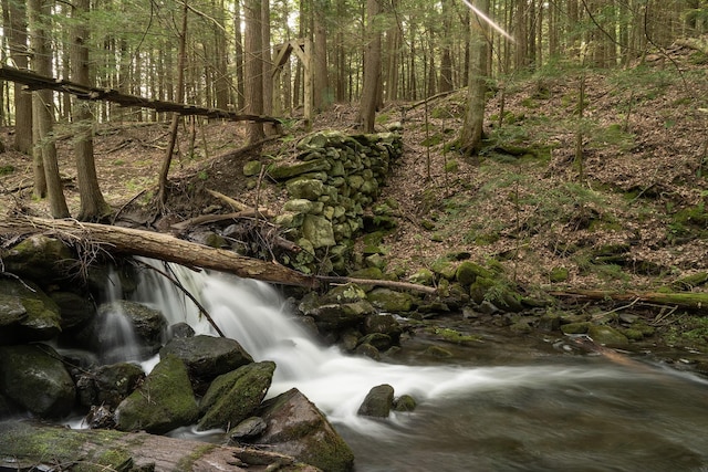 70 Reardon York Est, Canaan, NY 12029 - view of woods
