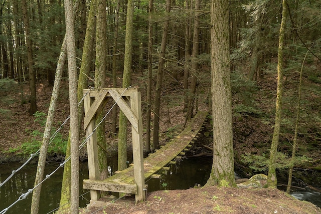 70 Reardon York Est, Canaan, NY 12029 - view of local wilderness