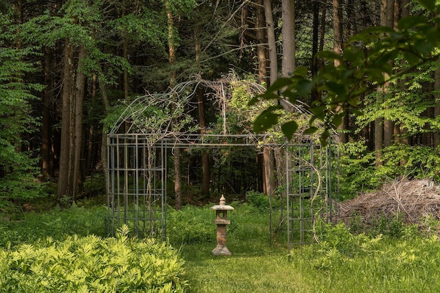 70 Reardon York Est, Canaan, NY 12029 - view of yard featuring a view of trees and a gate