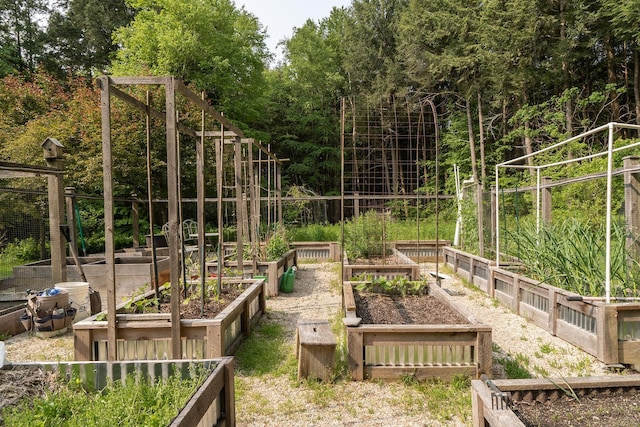 70 Reardon York Est, Canaan, NY 12029 - view of yard with a garden