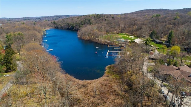 Sepasco Center St, Rhinebeck, NY 12572 - photo 3