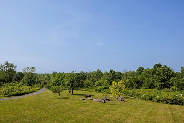 114 Best Ln, Germantown, NY 12526 - photo 25