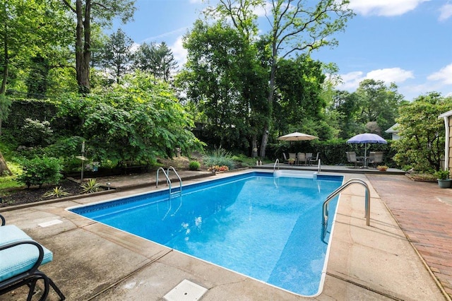 19 Salisbury Dr N, East Northport, NY 11731 - outdoor pool featuring a patio area, outdoor dining area, and view of scattered trees