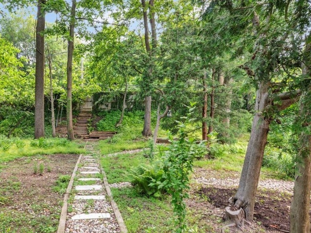 19 Salisbury Dr N, East Northport, NY 11731 - view of yard