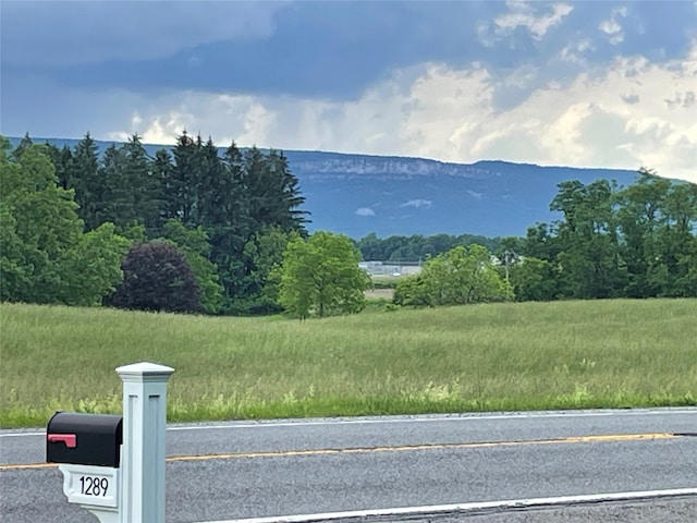 1289 State Route 208, Wallkill, NY 12589 - view of mountain background