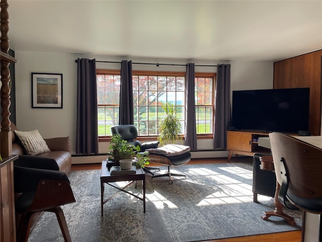 1289 State Route 208, Wallkill, NY 12589 - living area with wood finished floors and a baseboard radiator