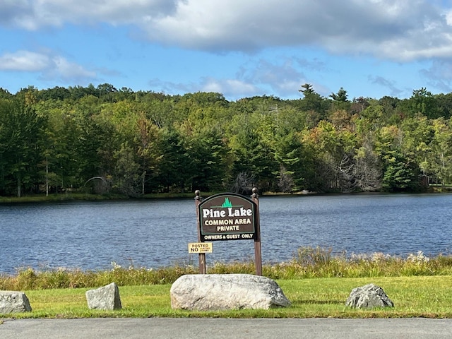 Pine Lake Dr, Wurtsboro, NY 12790 - photo 1