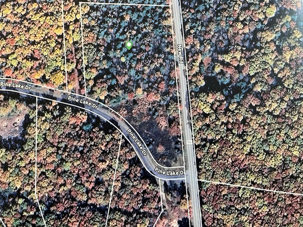 Pine Lake Dr, Wurtsboro, NY 12790 - photo 4