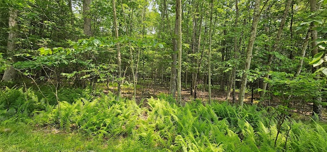 LOT3 Woods Rd, Barryville, NY 10516 - photo 1