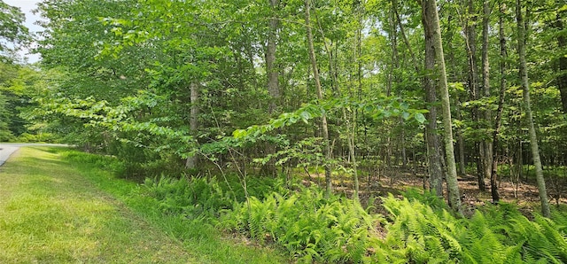 LOT3 Woods Rd, Barryville, NY 10516 - photo 2