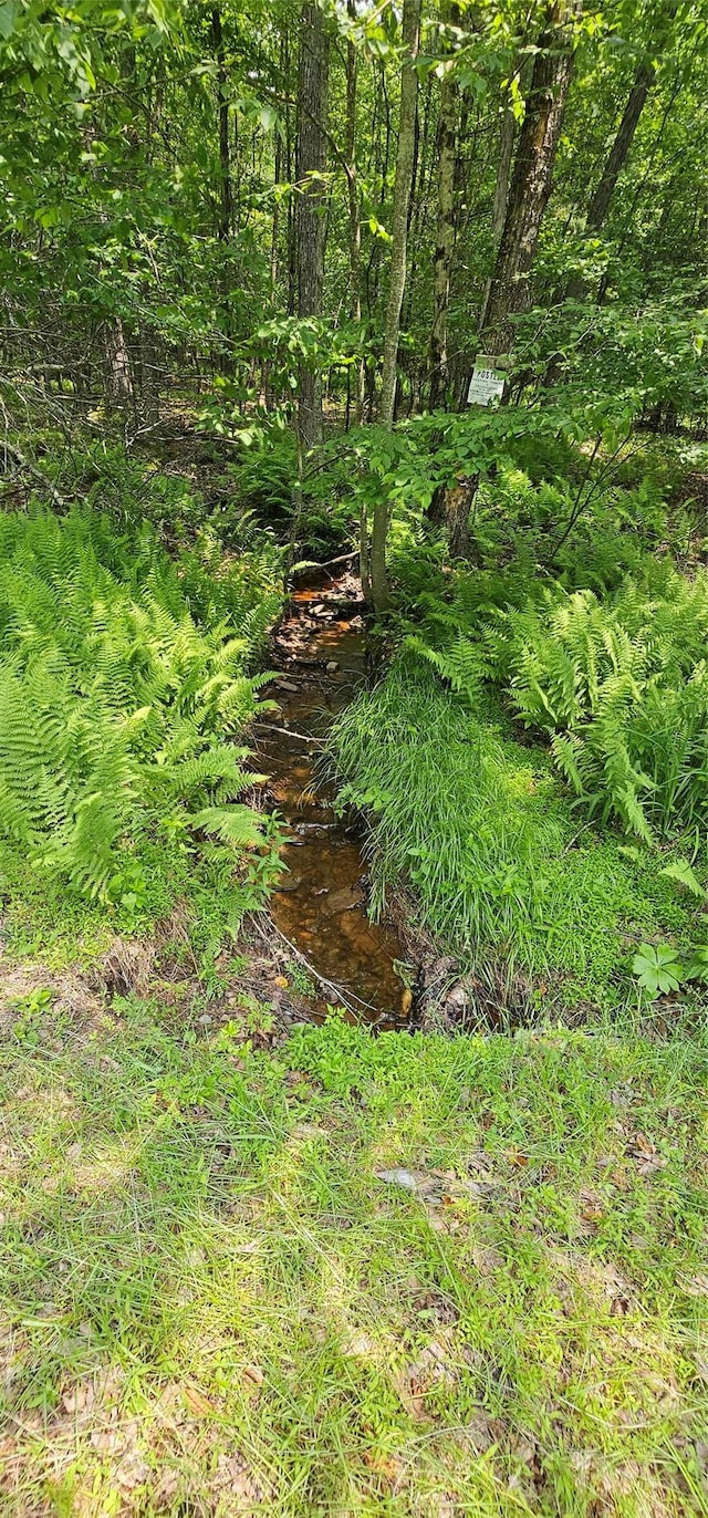 LOT3 Woods Rd, Barryville, NY 10516 - photo 3