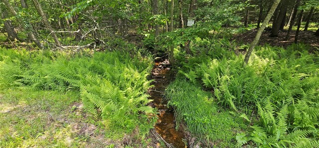 LOT3 Woods Rd, Barryville, NY 10516 - photo 4