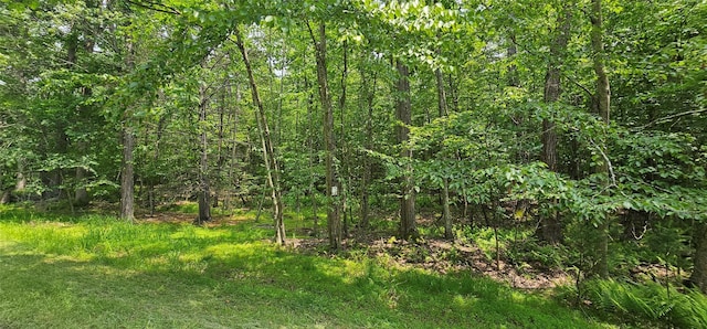 LOT3 Woods Rd, Barryville, NY 10516 - photo 5