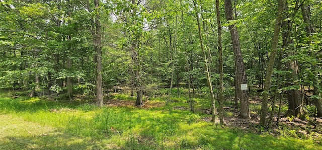 LOT3 Woods Rd, Barryville, NY 10516 - photo 6