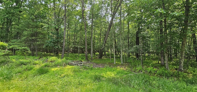 LOT3 Woods Rd, Barryville, NY 10516 - photo 8
