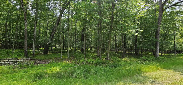 LOT3 Woods Rd, Barryville, NY 10516 - photo 9