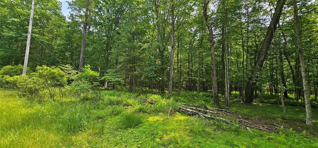 LOT3 Woods Rd, Barryville, NY 10516 - photo 10