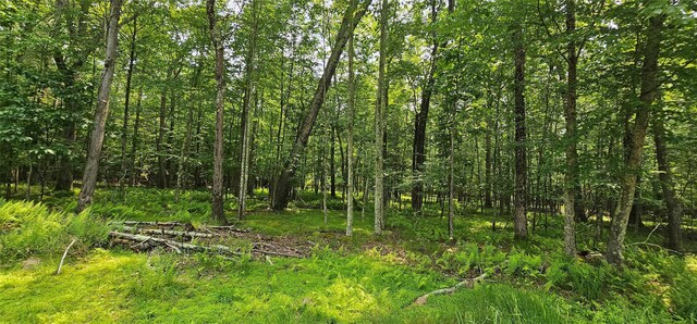 LOT3 Woods Rd, Barryville, NY 10516 - photo 11