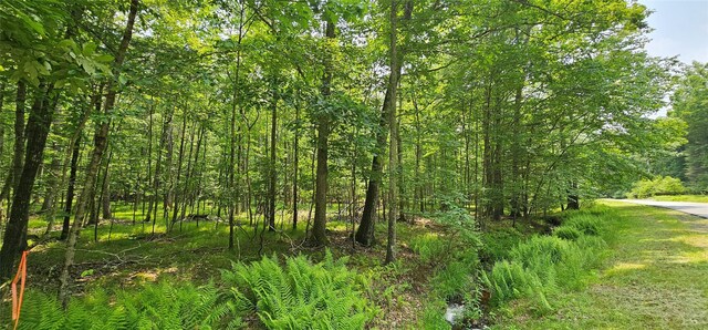 LOT3 Woods Rd, Barryville, NY 10516 - photo 12
