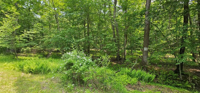 LOT3 Woods Rd, Barryville, NY 10516 - photo 13