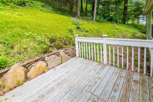 3465 Rte 22, Dover Plains, NY 12522 - photo 38