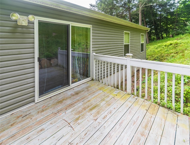 3465 Rte 22, Dover Plains, NY 12522 - photo 37