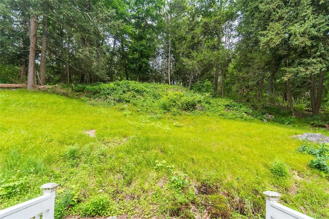 3465 Rte 22, Dover Plains, NY 12522 - photo 39