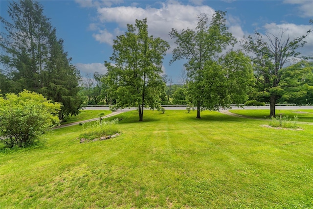 3465 Rte 22, Dover Plains, NY 12522 - photo 6