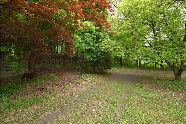 23 Leggs Mills Rd, Lake Katrine, NY 12449 - photo 17
