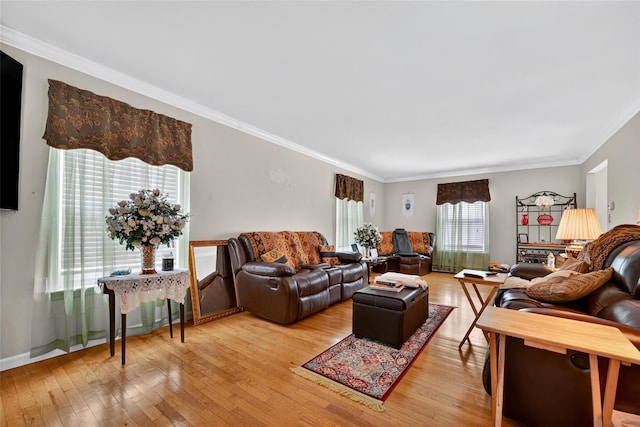 4 Debbie Ct, Chester, NY 10918 - living area with light wood-style flooring and ornamental molding