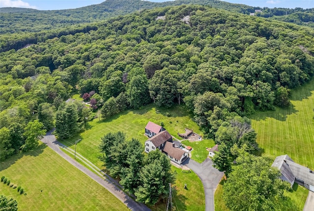4 Debbie Ct, Chester, NY 10918 - drone / aerial view of a forest