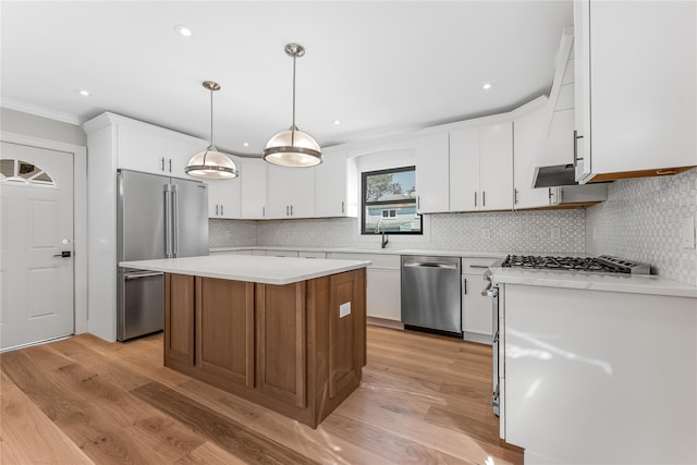 41 Madison Ave, New Hyde Park, NY 11040 - photo 4
