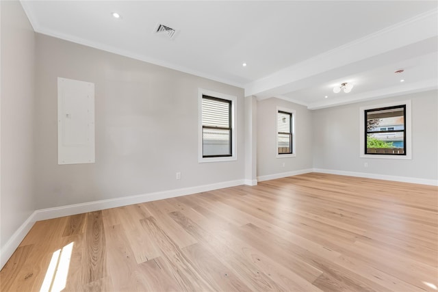 41 Madison Ave, New Hyde Park, NY 11040 - photo 17