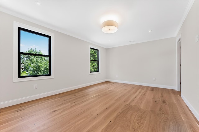 41 Madison Ave, New Hyde Park, NY 11040 - photo 37