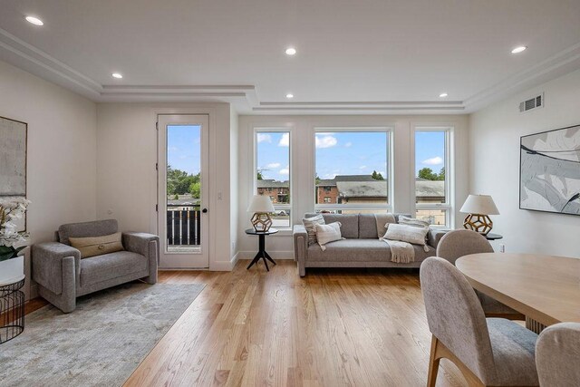 17 Union Rd Unit 208, Spring Valley, NY 10977 - living room with plenty of natural light, light wood finished floors, a raised ceiling, recessed lighting, and ornamental molding