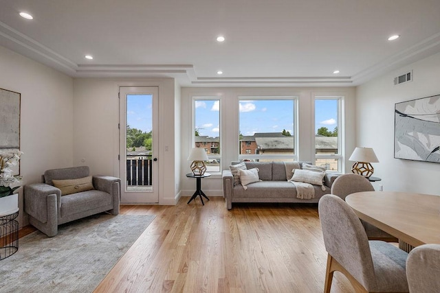 17 Union Rd Unit 208, Spring Valley, NY 10977 - living room featuring healthy amount of natural light, light wood finished floors, a raised ceiling, recessed lighting, and ornamental molding