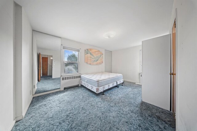 94 Shaw Ave, Valley Stream, NY 11580 - bedroom featuring radiator heating unit and carpet