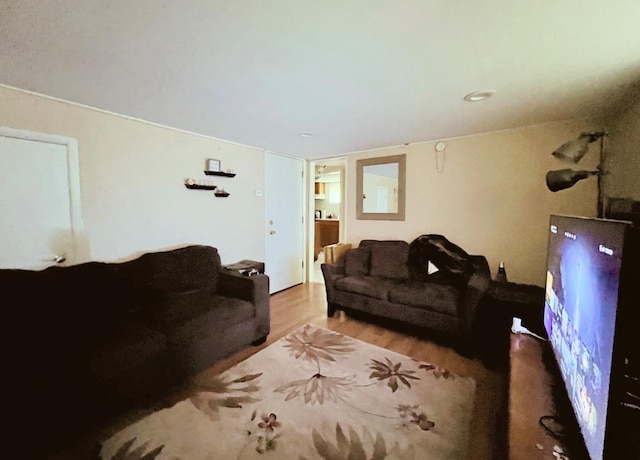 33 Roosevelt Pl, Stony Point, NY 10980 - living room with wood finished floors