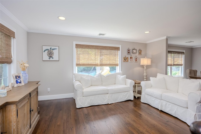 7 Long View Dr, Wading River, NY 11792 - living room with ornamental molding, dark wood finished floors, and recessed lighting