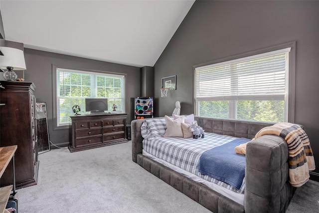7 Long View Dr, Wading River, NY 11792 - bedroom with carpet and high vaulted ceiling