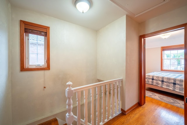 67-23 182nd St, Fresh Meadows, NY 11365 - bedroom featuring multiple windows and wood finished floors