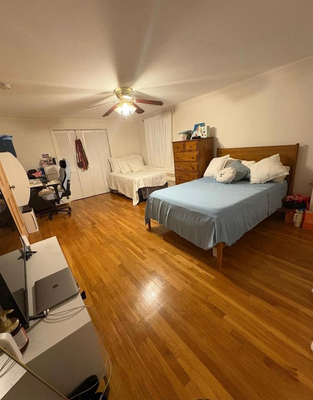 2 Borghild Ave, Yonkers, NY 10704 - photo 8