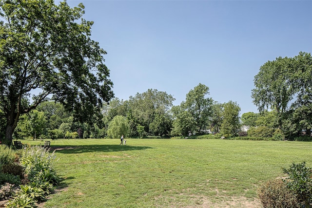 66 N Rd, Bronxville, NY 10708 - photo 41