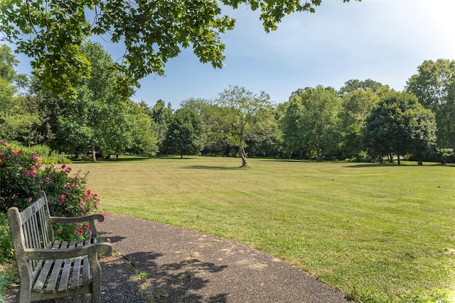 66 N Rd, Bronxville, NY 10708 - photo 42