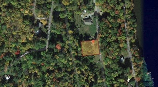  - photo 5