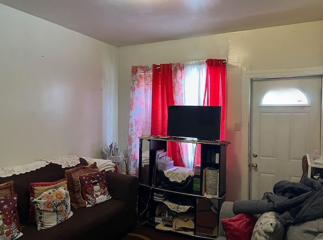 14 Matthews Pl, Brooklyn, NY 11236 - view of living room