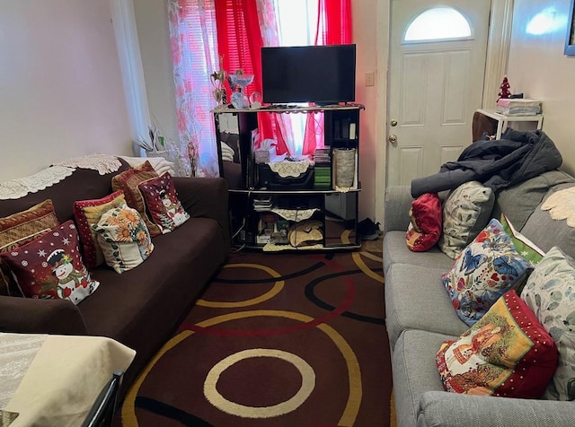 14 Matthews Pl, Brooklyn, NY 11236 - view of living room