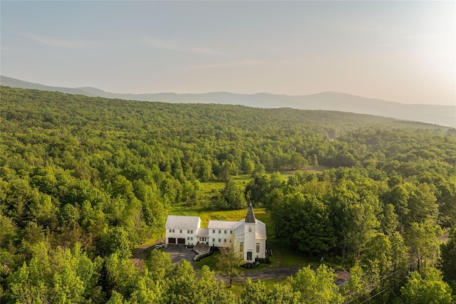 1174 Potter Mountain Rd, Gilboa, NY 12076 - aerial view of property and surrounding area featuring a heavily wooded area