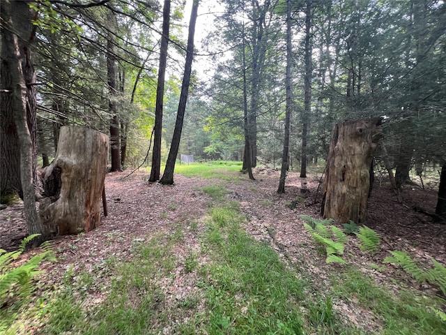 Barker Rd, Eldred, NY 12732 - photo 2